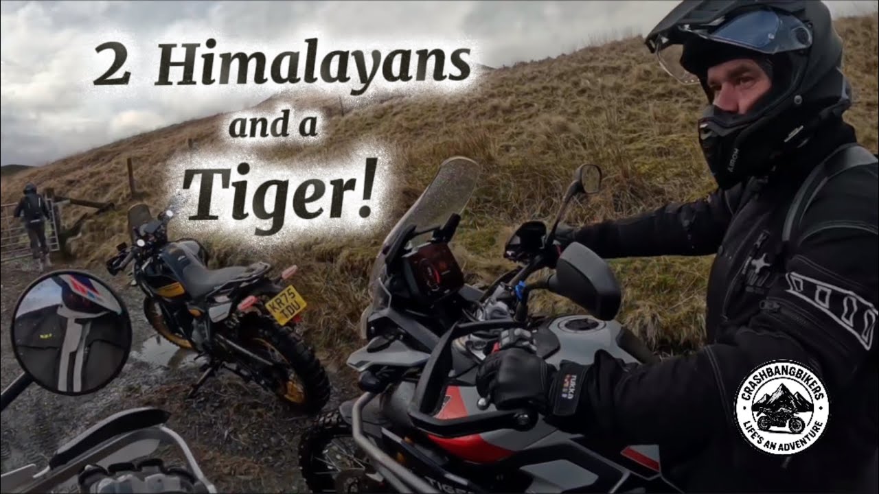 Первый раз на бездорожье: Triumph Tiger 900 против Himalayan 450.