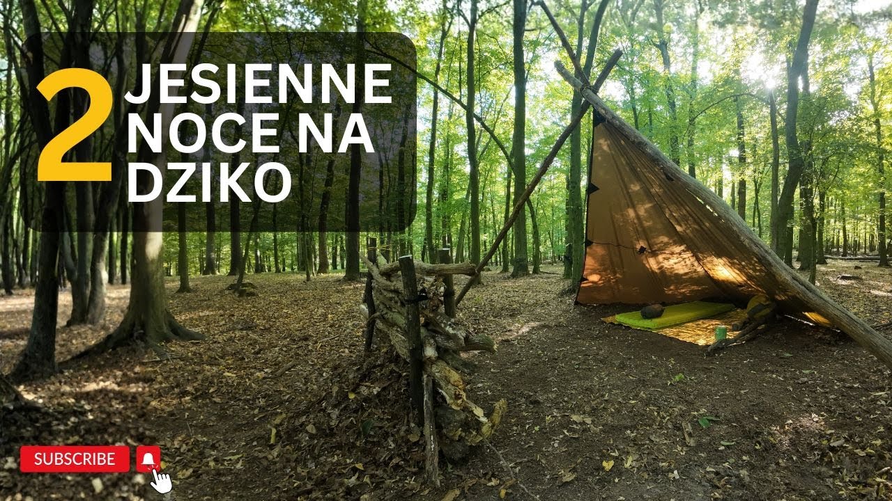 Dwie noce w lesie na początek jesieni