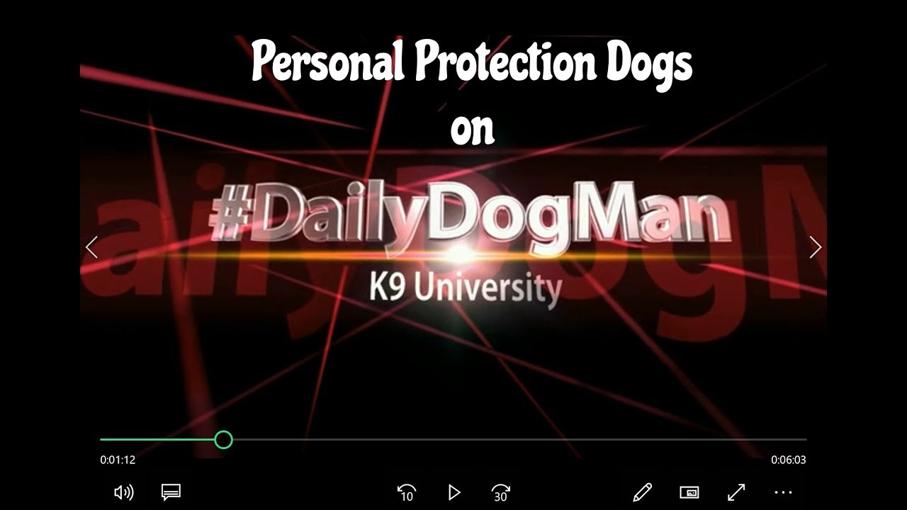 How to choose a dog for Personal Protection