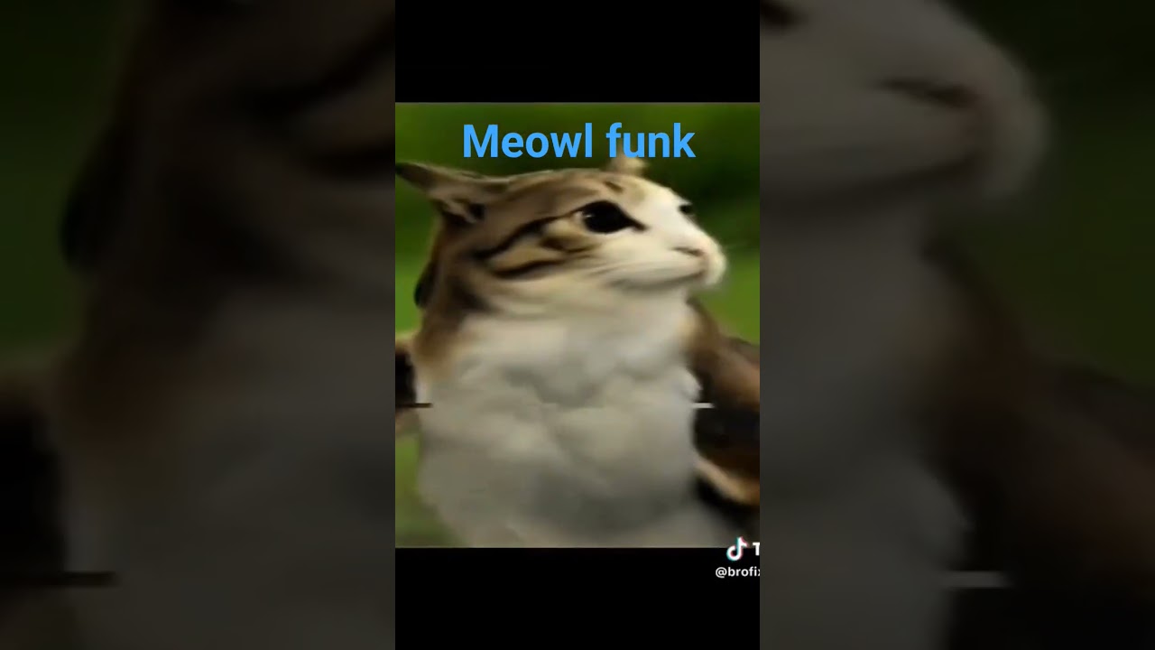 #roblox #robaunbrainrot #meow #funk