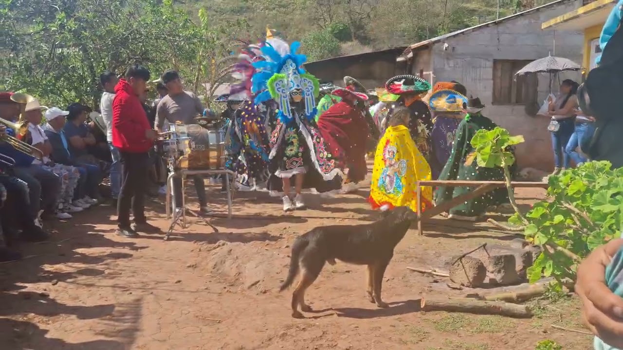 2. Carnaval Altamira Huayacocotla 2026