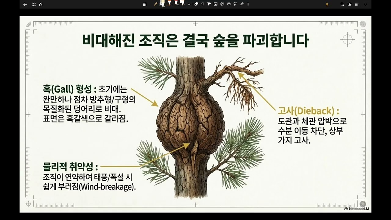 병-소나무혹병과 일반혹병의 차이 및 방제 방안