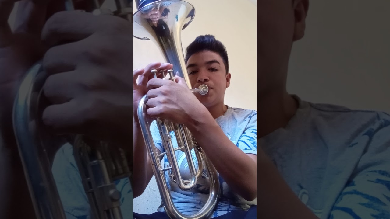 Como Articulear En ARMONIA
