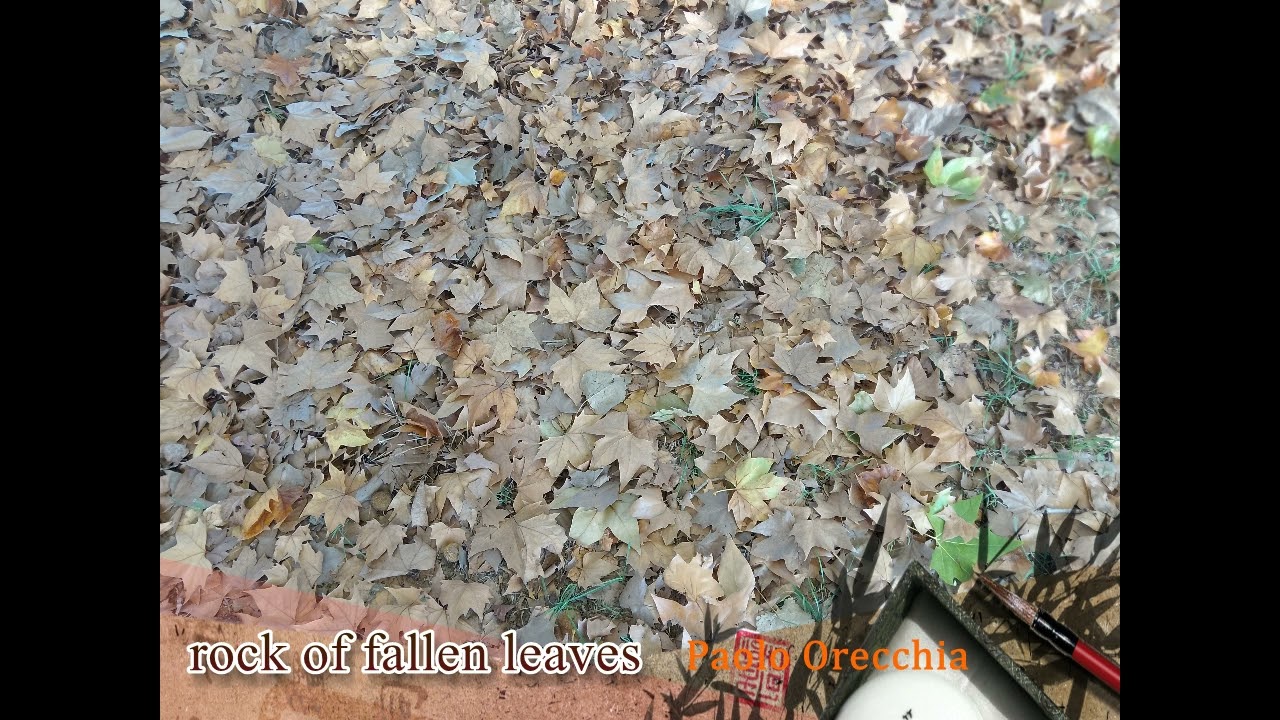 Rock of fallen leaves (Paolo Orecchia)