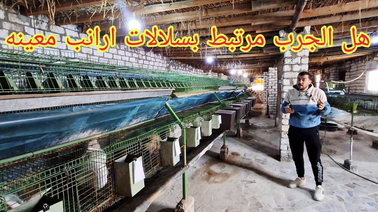هو الجرب فعلا بيجي لارانب وارانب تانيه مش بيجلها هتعرف الحقيقة في الحلقه دي 