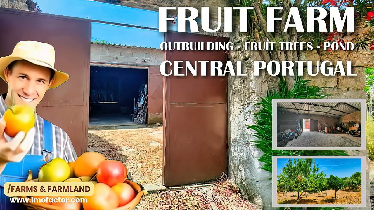 🔆 €54000 - Fruit Farm | Farm Store - Fruit Trees - Pond  | Central Portugal