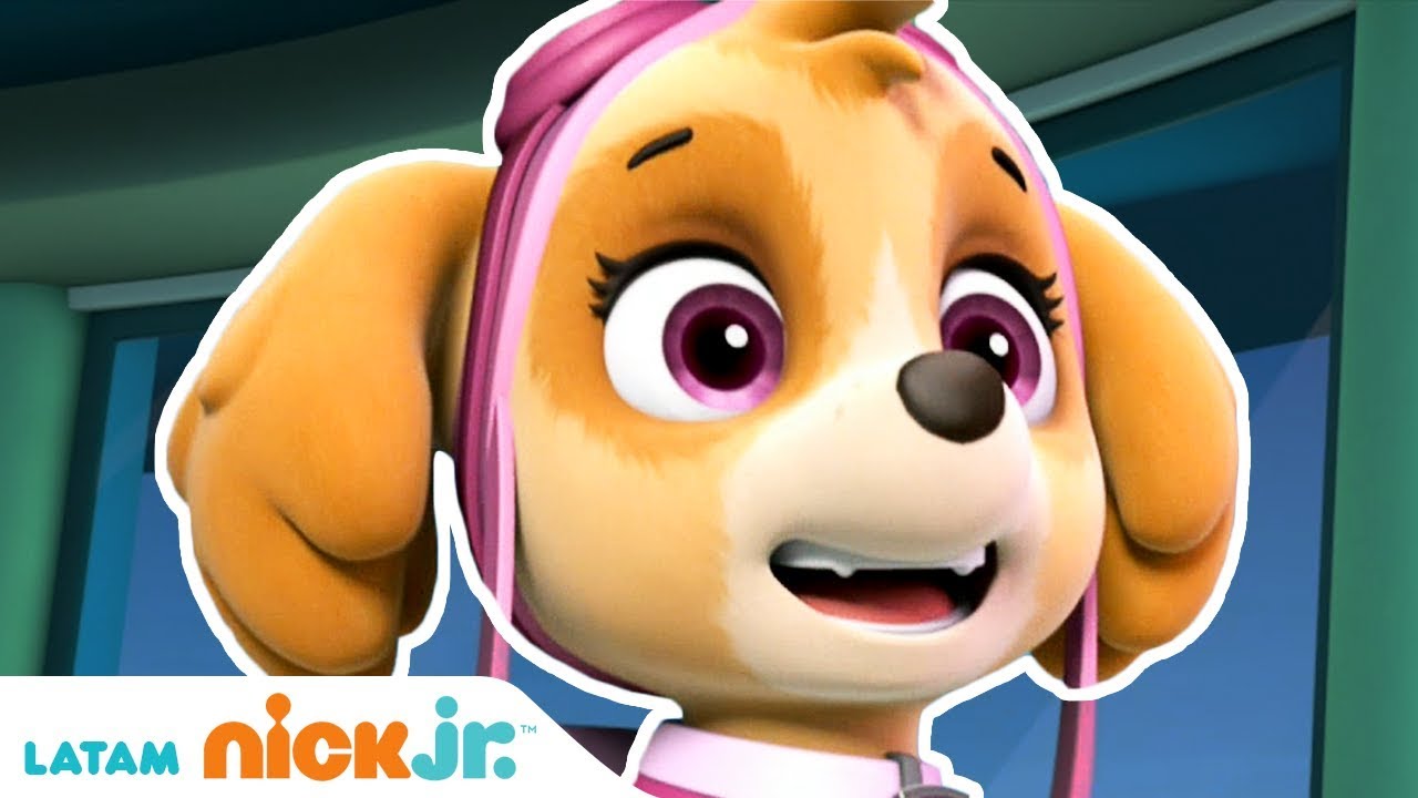 Paw Patrol | Buscando una mochila 🎒| Nick Jr.