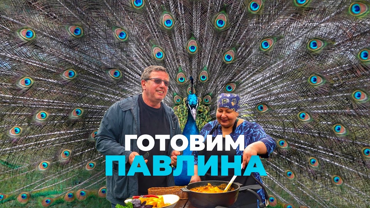 БЛЮДО ИЗ ПАВЛИНА/КАРАЧАЕВО-ЧЕРКЕСИЯ