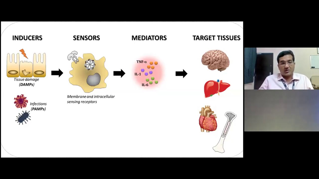 The inflammation hypothesis of major depression: Thirty years of progress from bench to clinic