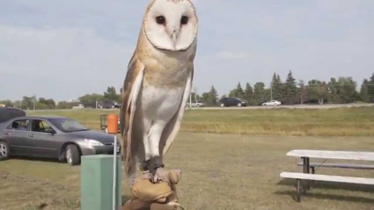 Prairie Wildlife Rehabilitation Centre