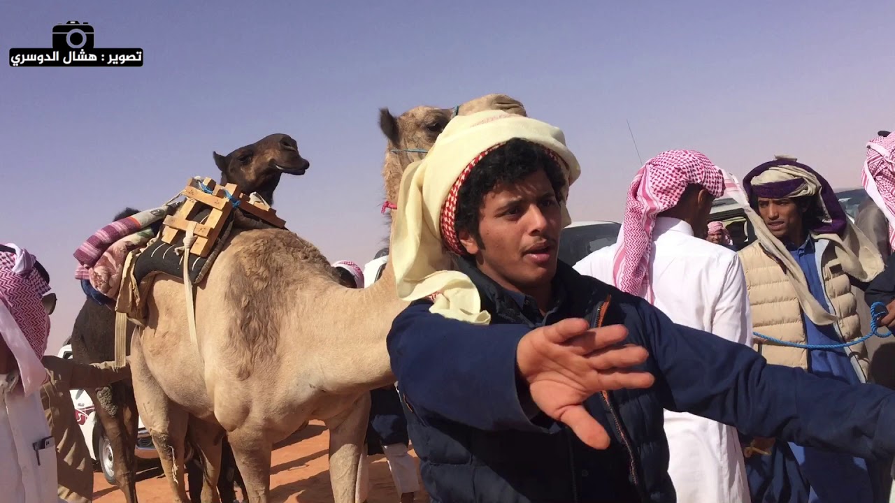 مسيرة فزاعه لمالكها : حشر بن محسن المساعره الدوسري تصوير هشال الدوسري