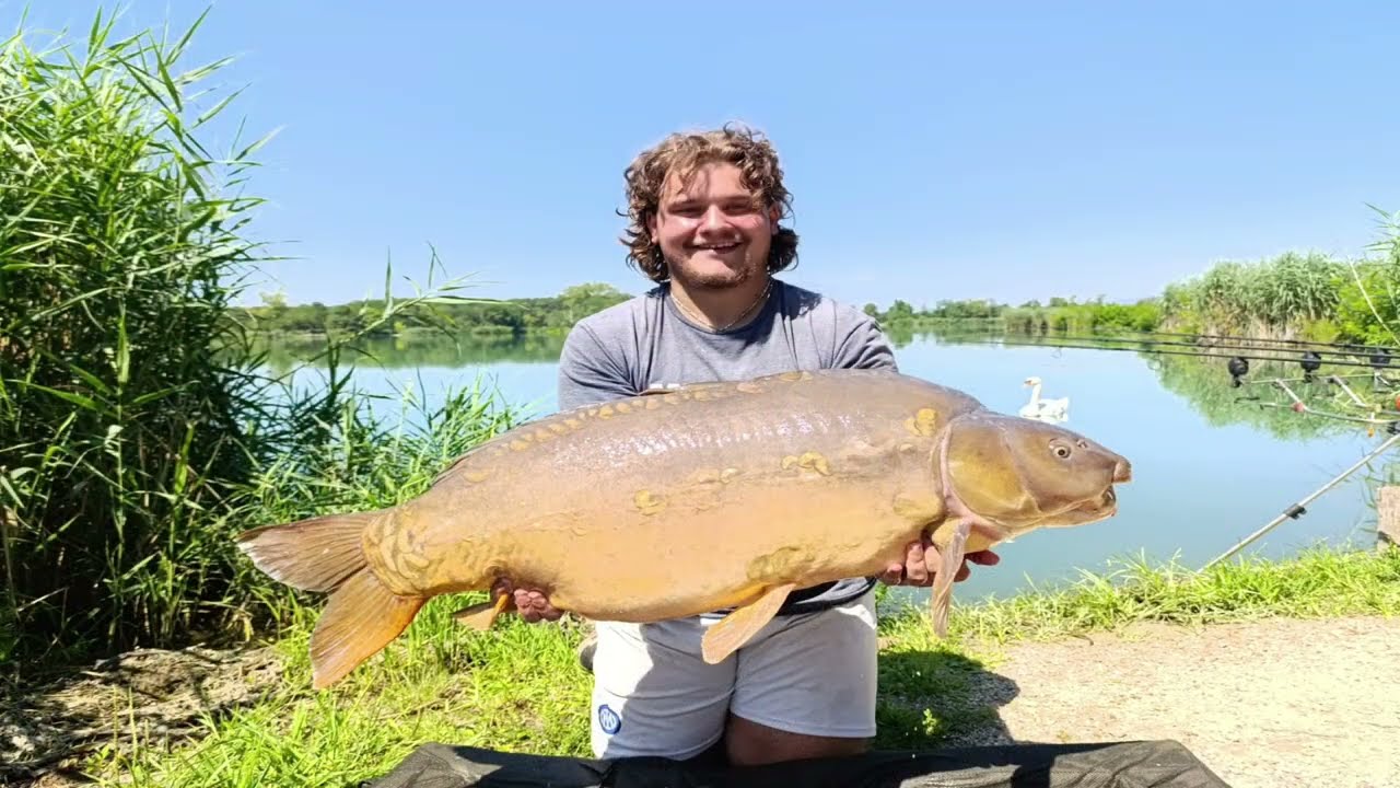 Carp 27,4kg