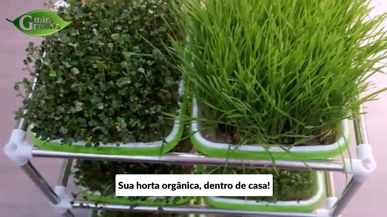 🌱 Exclusiva Bandeja Hidrop&ocirc;nica Minigreens&reg;
