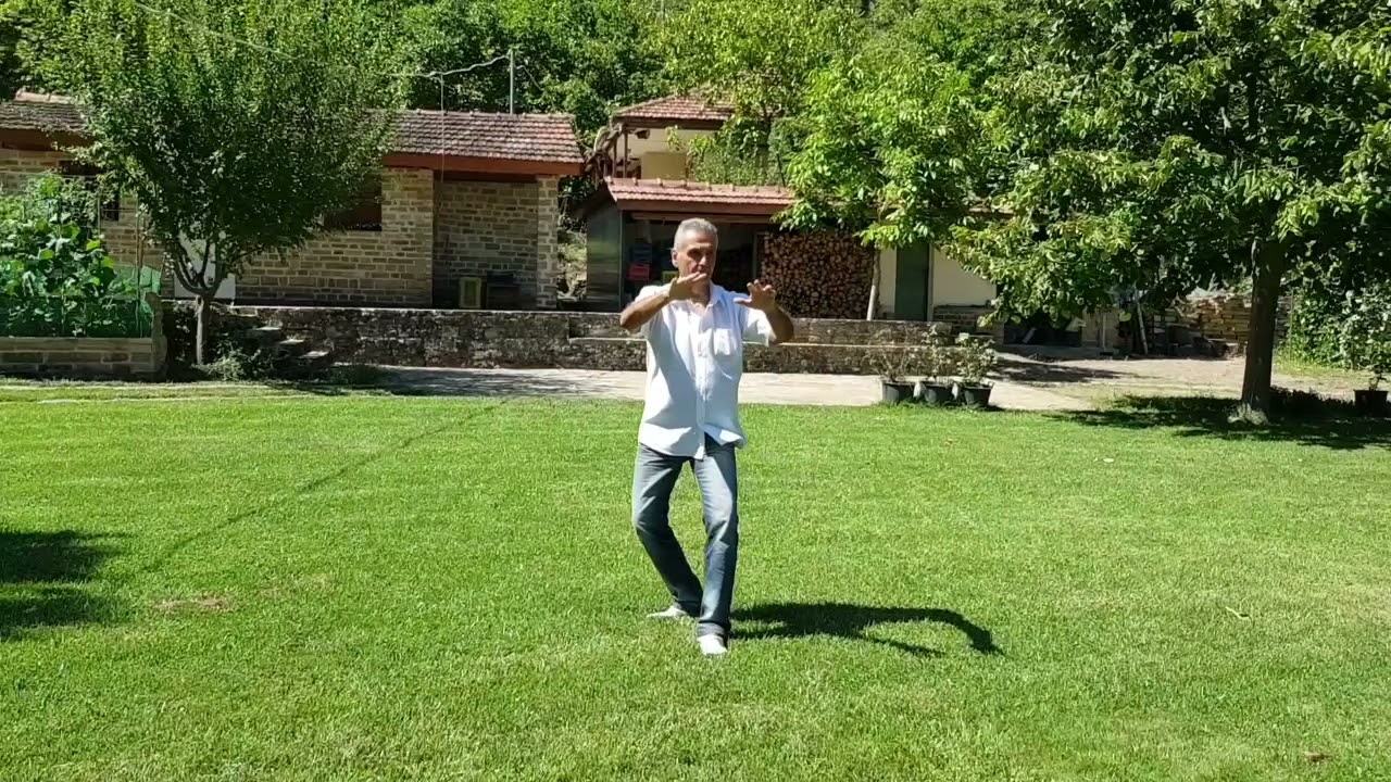 Fen He Yi Quan's shi li in 5 steps/ en 5 étapes