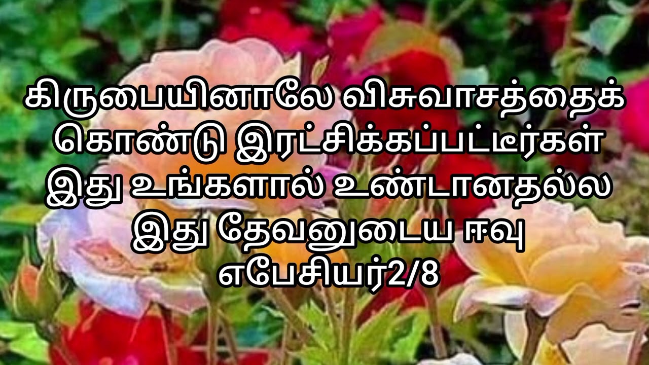 தேவனுடைய தயவு