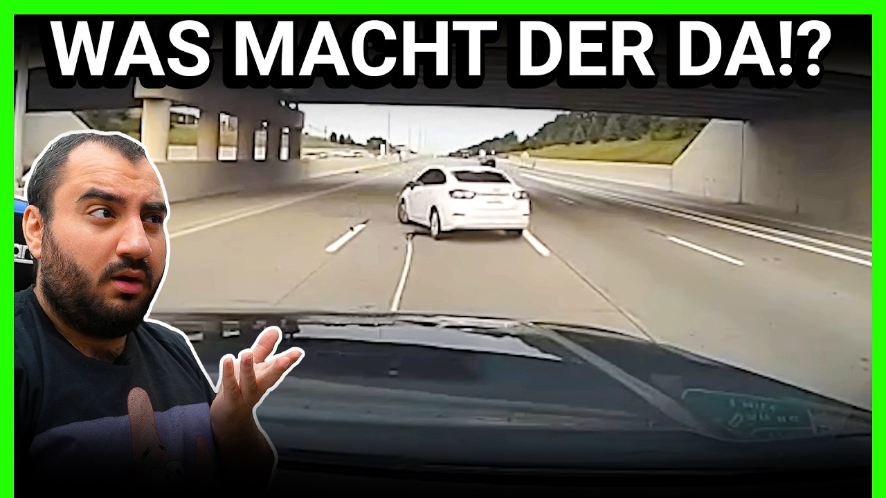 WAS MACHEN DIE DA? 😅 Reaction auf Daily Dose of Internet
