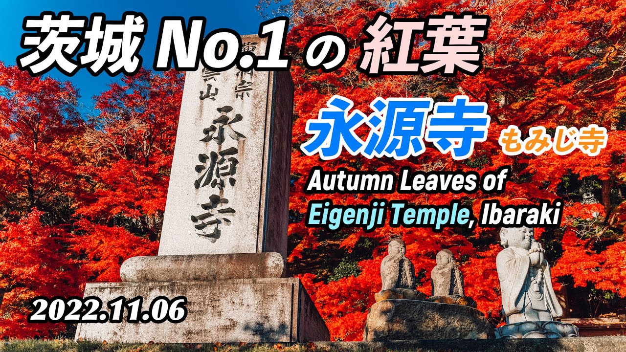 【紅葉/4K】茨城No.1の紅葉/永源寺/もみじ寺/No.1 Autumn leaves in Ibaraki Pref, Eigenji temple/【茨城県大子町/奥久慈温泉郷】