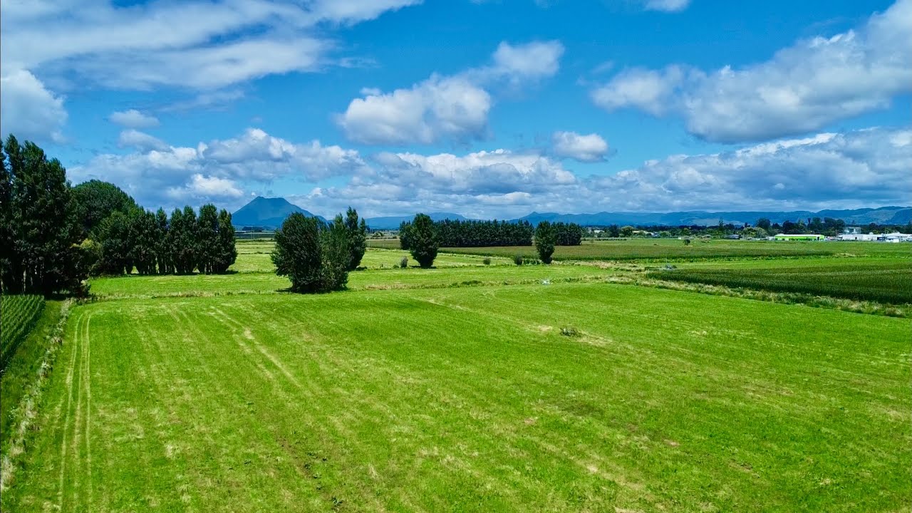 434 - 454 Awakeri Road, Edgecumbe