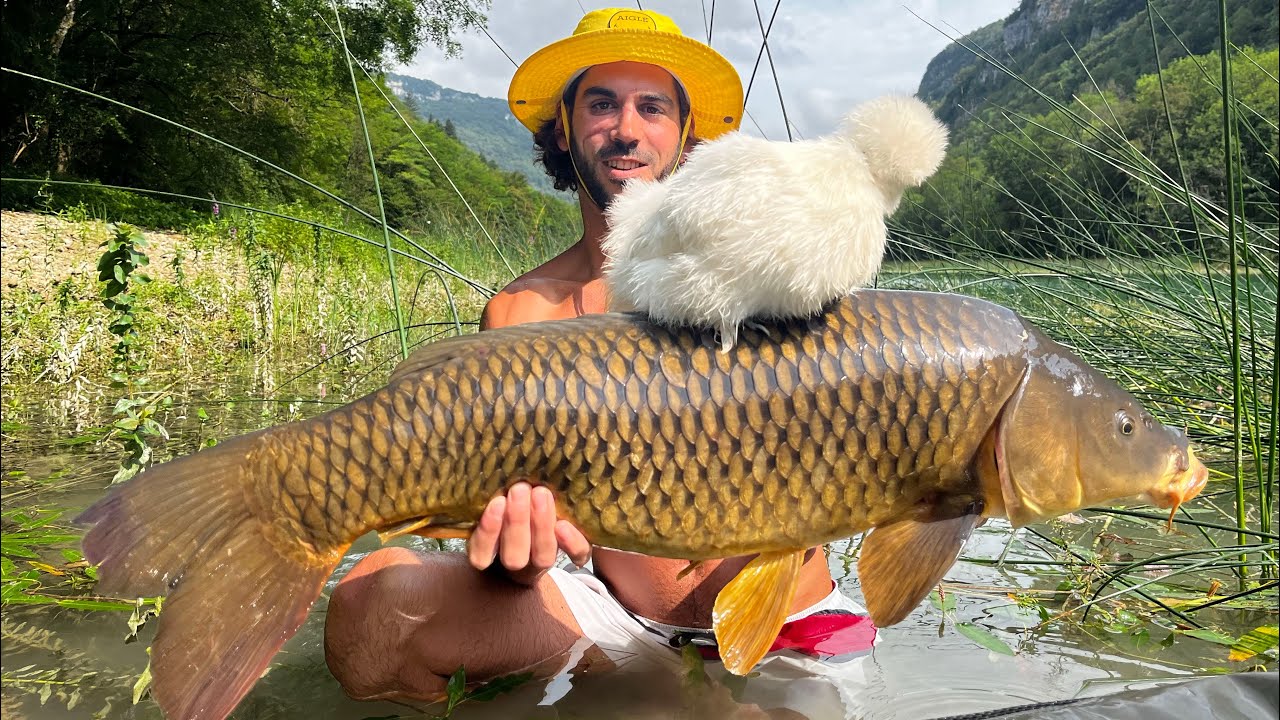 Pêche à la carpe dans le multivers ( plus de 80 poissons )