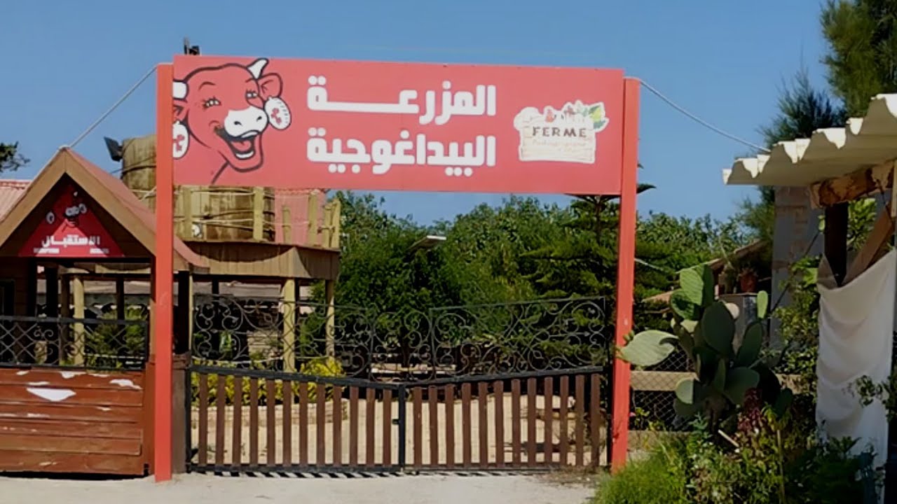 المزرعة البيداغوجية زرالدة | عسل النحل| زيوت اساسية| حيوانات المزرعة La ferme pédagogique Zeralda