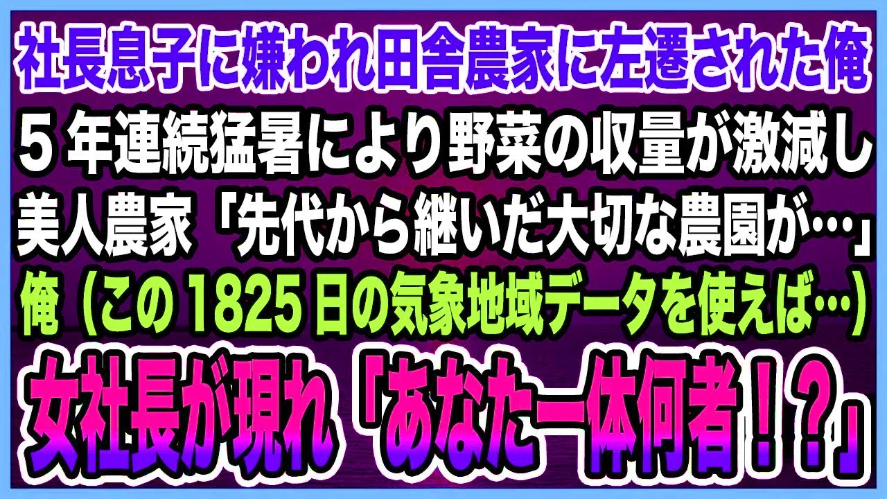 【感動する話】社長息子に嫌われ田舎農家に左遷された俺。5年連続猛暑により野菜の収量が激減し美人農家「先代から継いだ大切な農園が…」→データ使い1年間で1億の黒字転換させた結果【泣ける話・朗読】