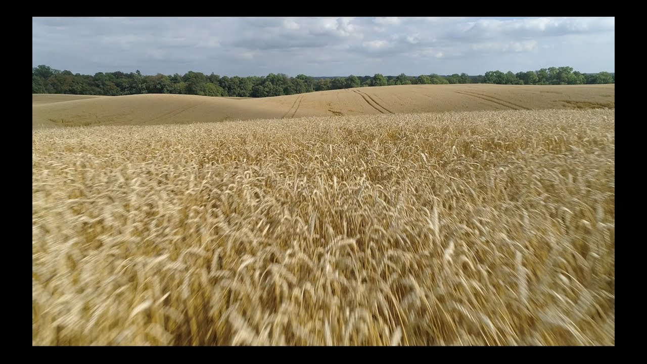 KLIP PROMOCYJNY - GMINA DOBIEGNIEW
