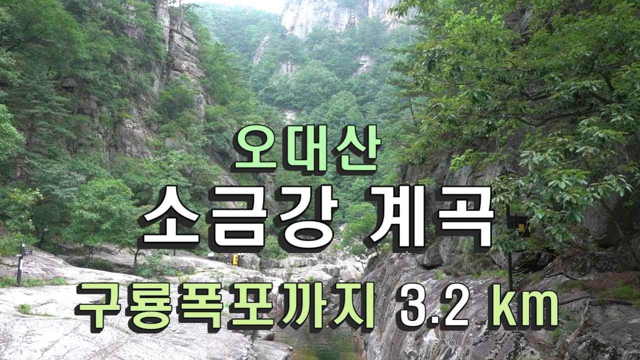 오대산 소금강 계곡 / 구룡소 폭포까지 / 걷기 좋은 길 3.2 km