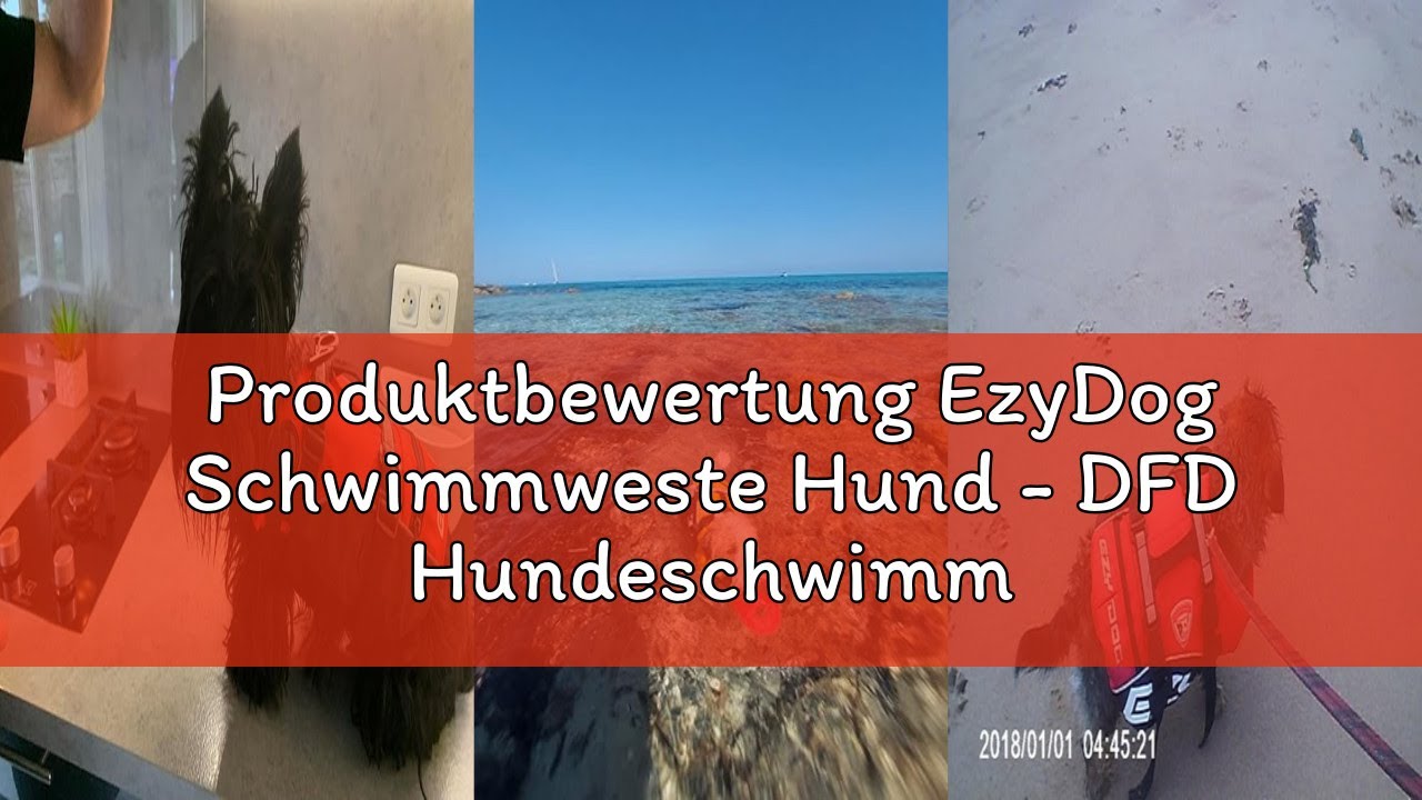 Produktbewertung EzyDog Schwimmweste Hund - DFD Hundeschwimmweste - Schwimmwesten für für Kleine, Mi