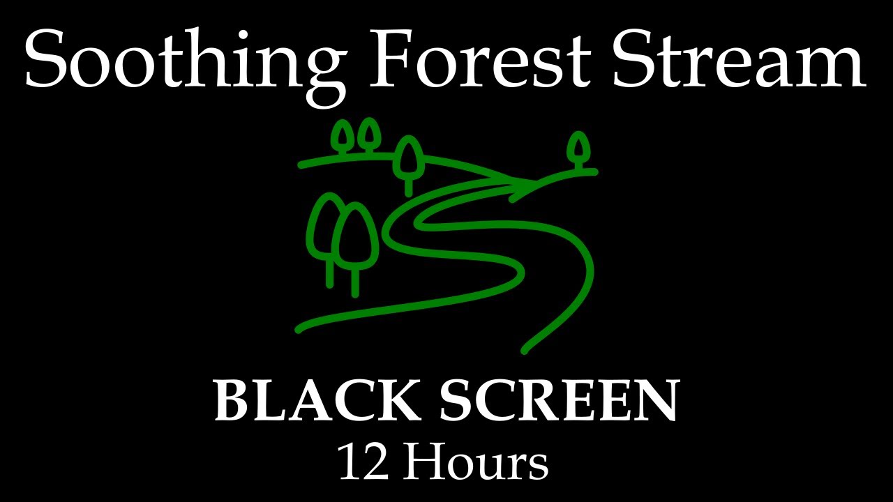 🌳 Serenity of a Forest Stream: Relaxing Sounds for Concentration and Sleep 🎧