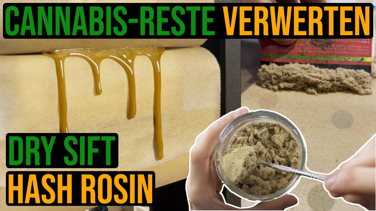 Cannabis-Schnittreste verwerten - Dry Sift und Hash Rosin