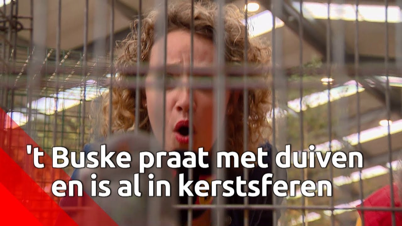 't Buske praat met duiven en is al in kerstsferen - Brabants Buske