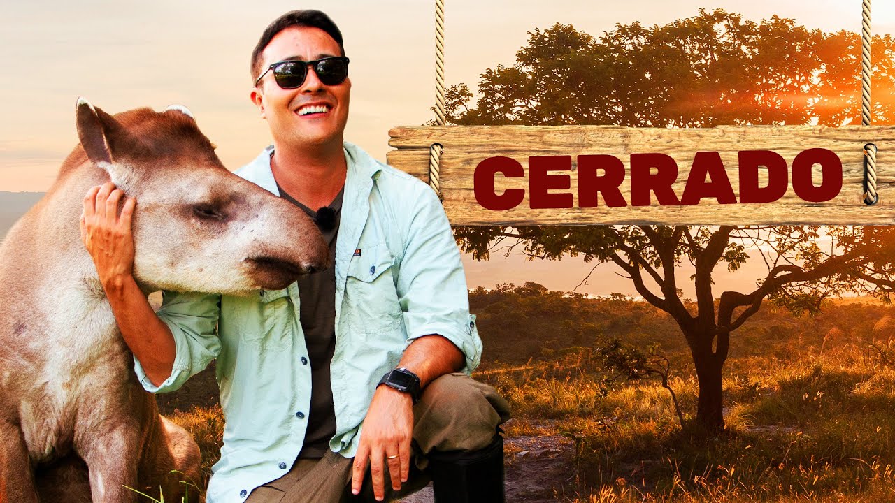 Cerrado | Biomas do Brasil | Ep.9