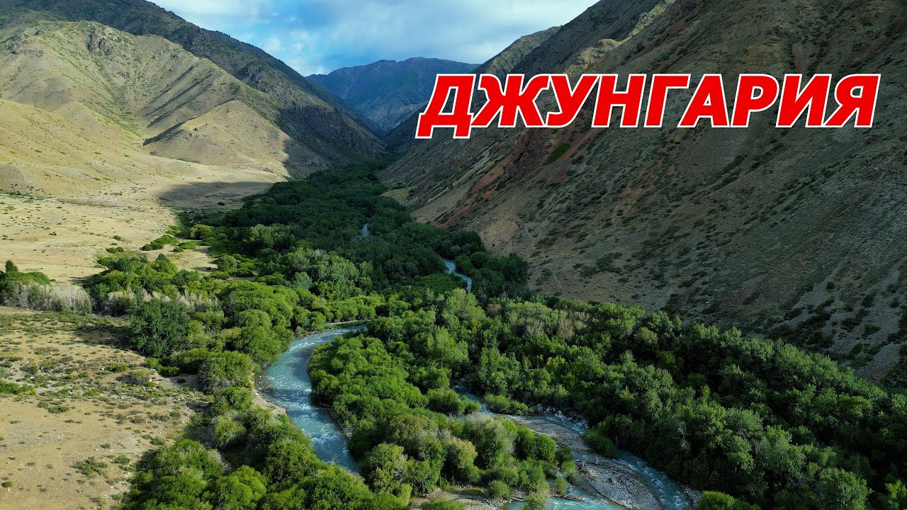 Южная Джунгария 2025. Природа и семья. Наш летний маршрут.