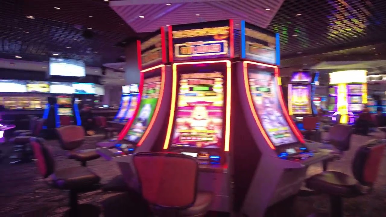 Linq sports book