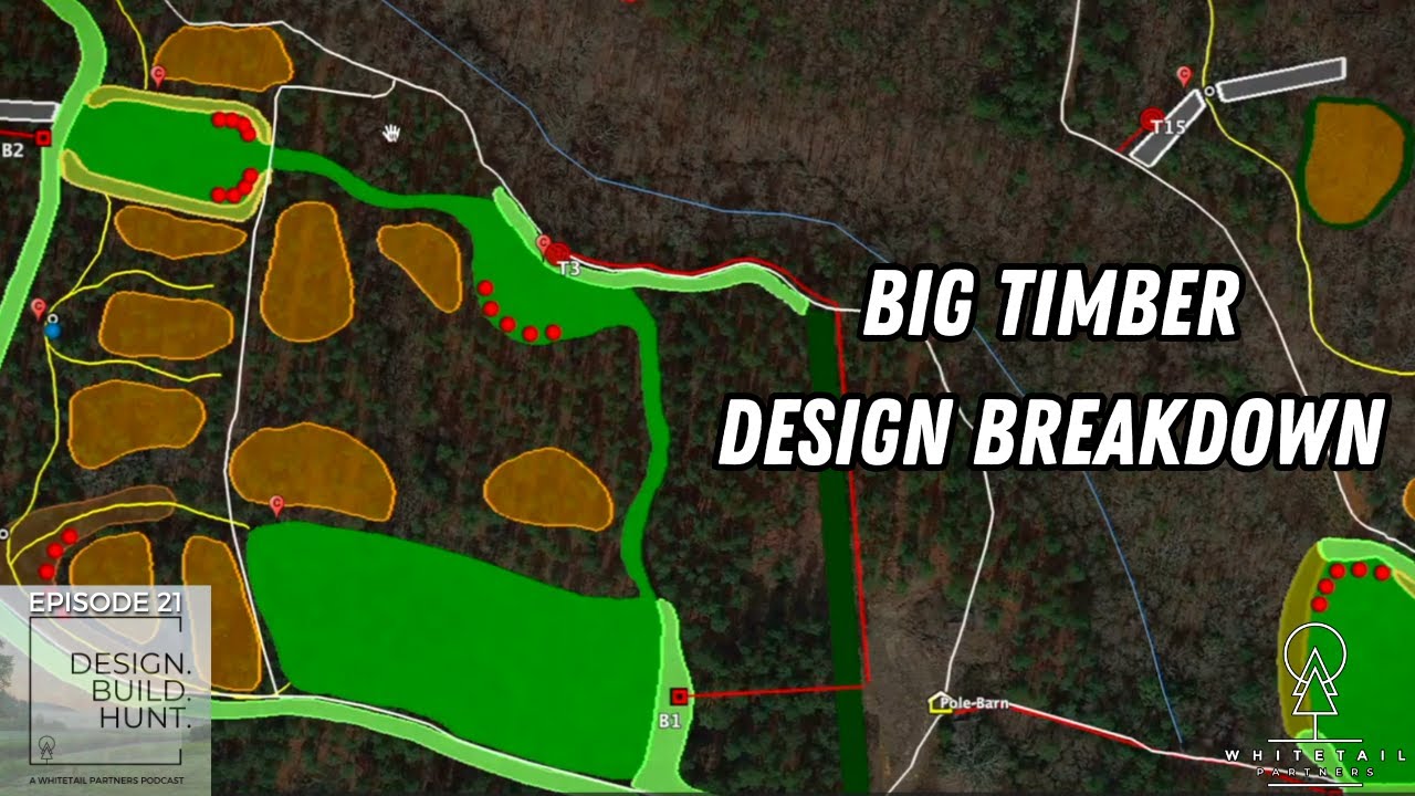 Episode 21 - Design Breakdown: SC Timber Country - 200 Acres of POTENTIAL!!