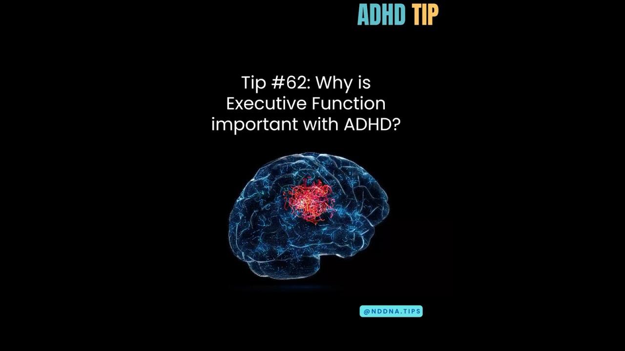 Tip #62 Executive Function and 