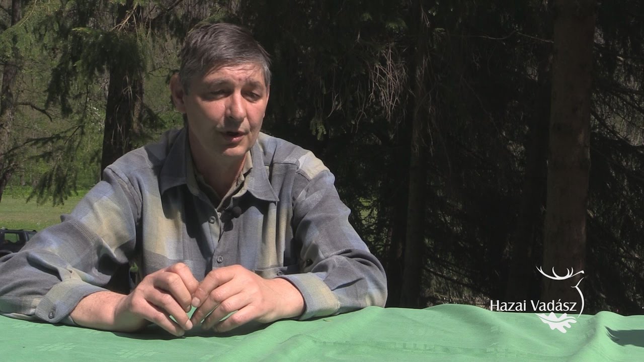 “Az erdélyi kopó atlétikus felépítésű és könnyen tartható kutyafajta” - Pelczéder Tibor