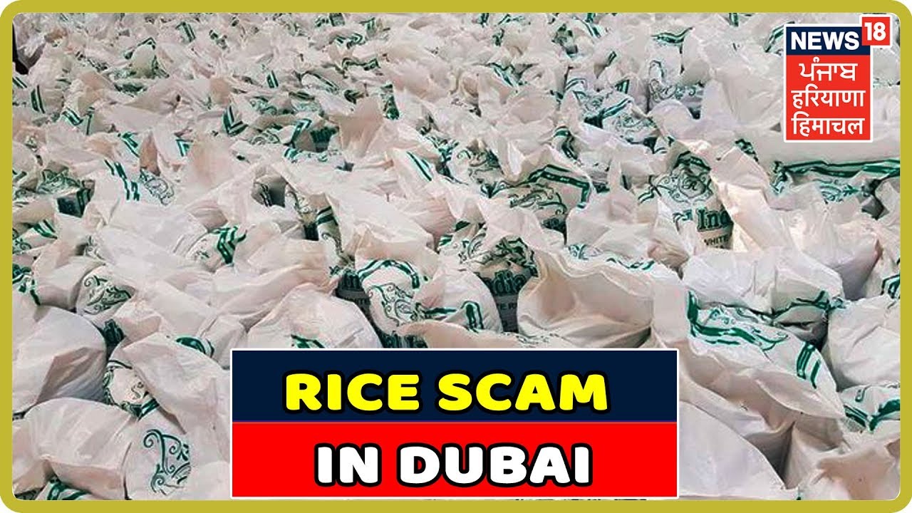 Rice Scam In Dubai Baffles Indian Traders | News18 Live | News18 Himachal Haryana Punjab Live