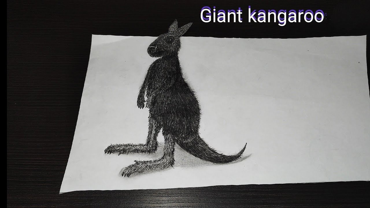 Giant kangaroo 3D drawing  pencil on paper