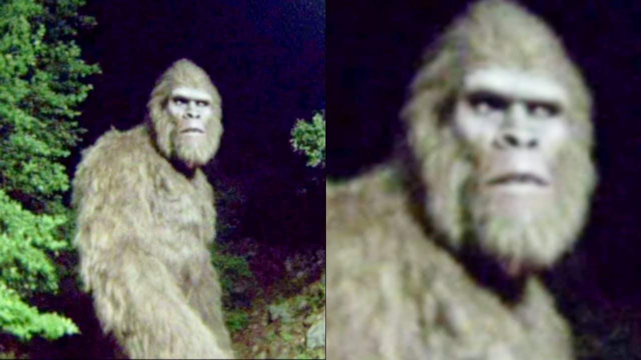 Camera Catches Bigfoot Hiding Location in Appalachian Mountains, But It Gets Terrifying - Story