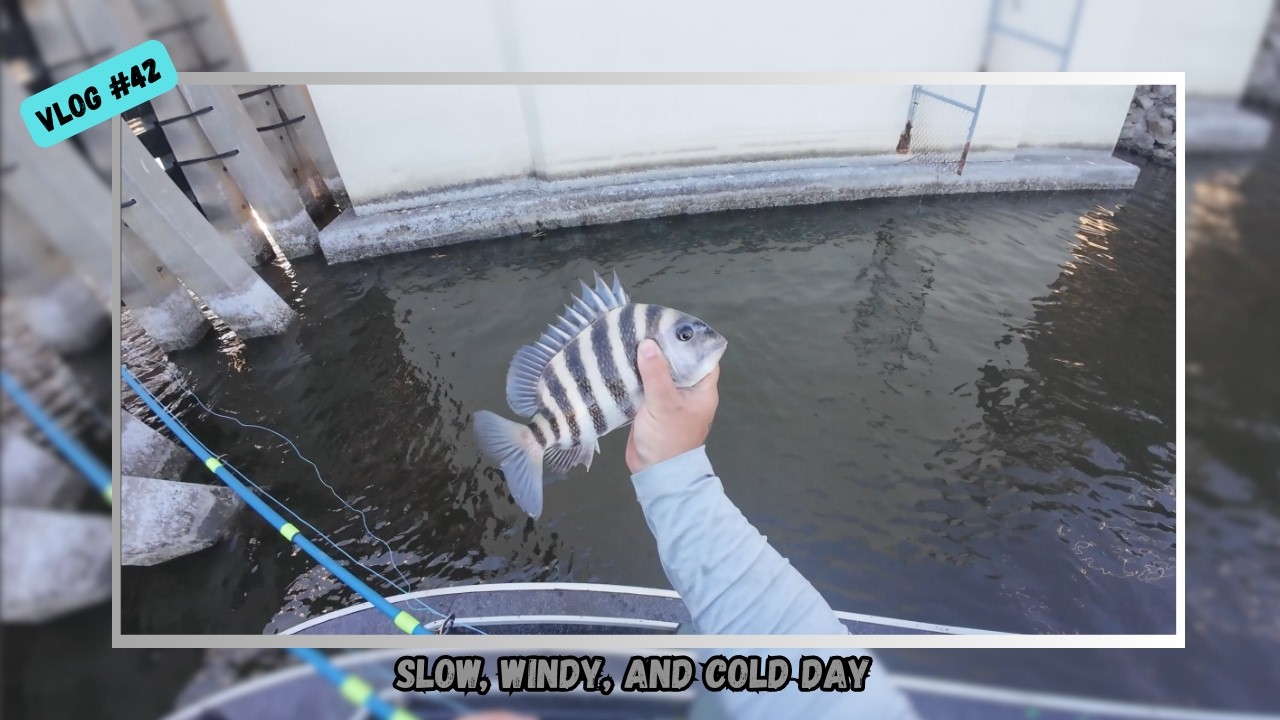 Slow, Windy, and Cold day