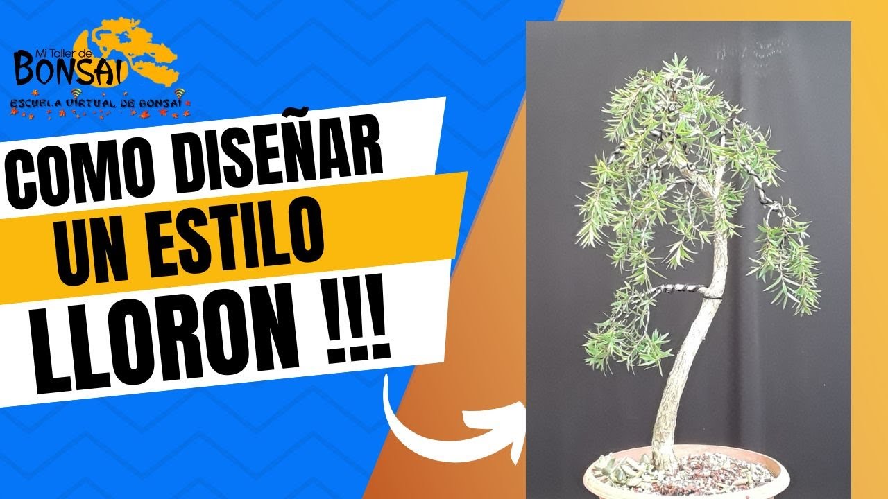COMO dise&ntilde;ar un estilo LLORON