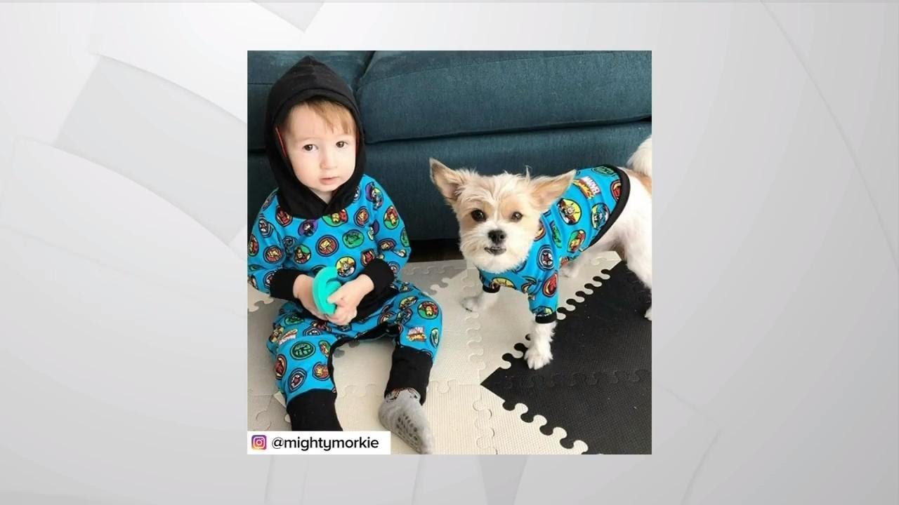 The most adorable custom clothes for dogs and their humans