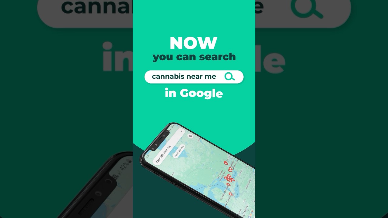Now You Can Search 