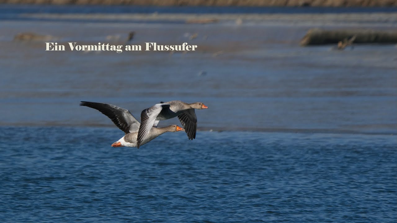 Ein Vormittag am Flussufer