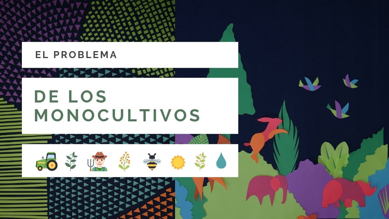 ¡El problema de los monocultivos!