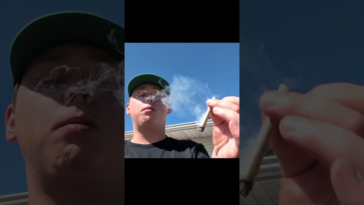 I Tried 2 of Boston Buds Weed Strains... Part 8