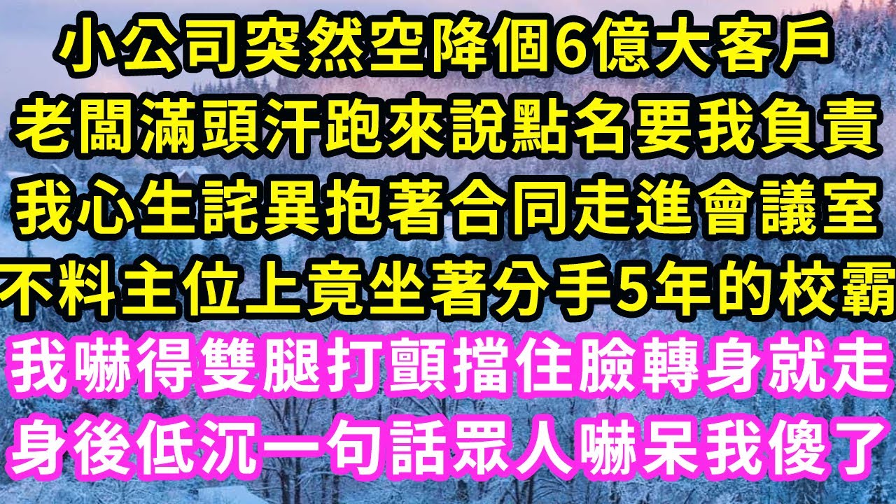 小公司突然空降個6億大客戶，老闆滿頭汗跑來說點名要我負責，我心生詫異抱著合同走進會議室，不料主位竟坐著分手5年的校霸，我嚇得雙腿打顫擋住臉轉身就走，身後低沉一句話眾人嚇呆我傻了#甜寵#灰姑娘#霸道總裁