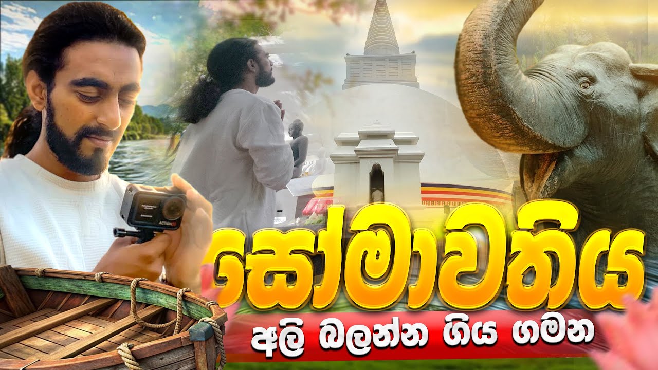Somawathiya Polonnaruwa | අලි කැලය මැදින්  සෝමාවතියට | Dry zone | 4K