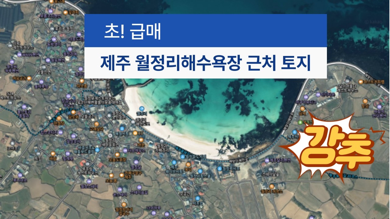 제주 구좌읍 월정리 에메랄듯빛 월정해수욕장 도보2분거리 취락지구내 토지급매